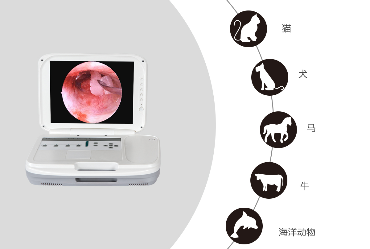 內(nèi)窺鏡攝像機的應(yīng)用領(lǐng)域有哪些？